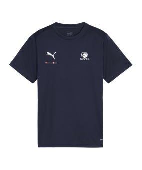 PUMA teamGOAL Trikot Kids Blau F06