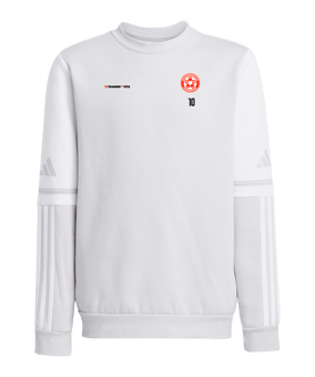 adidas Squadra 25 Sweatshirt Kids Grau