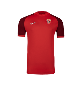 Nike Trophy VI Trikot Rot F657
