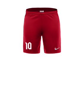 Nike Park III Short Rot F657