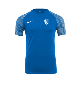 Nike Academy Trikot Blau Weiss F463