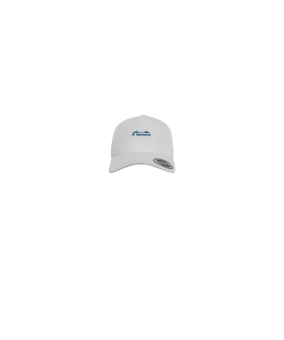 Merch 5 Panel Curved Cap Blau