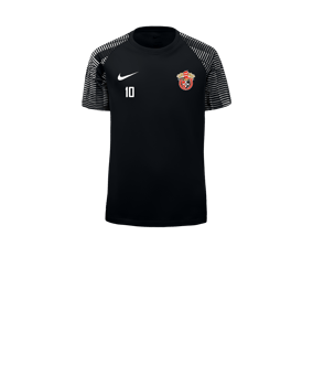 Nike Academy Trikot Kids Schwarz Weiss F010