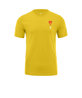 T-shirt Nike Park 20 Jaune noir F719 
