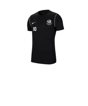 Nike Park 20 T-Shirt Kids Schwarz F010