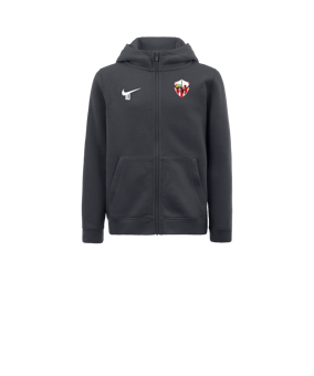 Veste à capuche en polaire Nike Park 20 enfants Gris F071