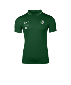 Nike Park 26 Polo Grün F302