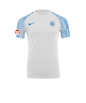 Nike Academy Trikot Weiss Blau F102