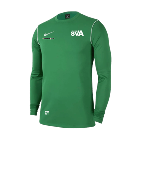 Nike Park 20 Sweatshirt Grün Weiss F302