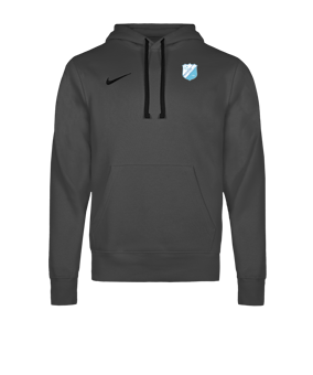 Nike Park 26 Sweatshirt à capuche Gris C063