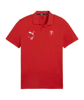 PUMA teamGOAL Casuals Poloshirt Rot F01