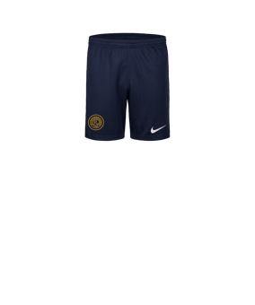 Nike Park 26 Short Kids Blau F410