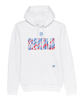 Nike NZSx11TS Slowenien Hoody EM 2024 Weiss F100 - weiss