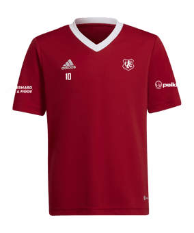 adidas Entrada 22 Trikot Kids Rot Weiss