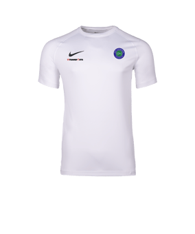 Nike Park VIII Trikot Weiß F100