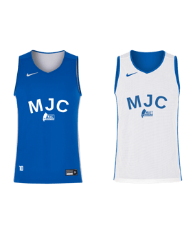 Nike Team25 Stock Reversible Trikot Blau F463