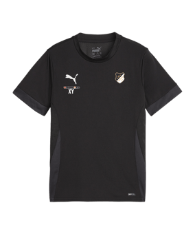 PUMA teamGOAL Matchday Trikot Kids Schwarz Weiss F03