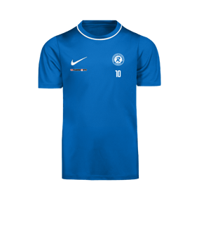 Nike Park 26 Trainingsshirt Kids Blau F463