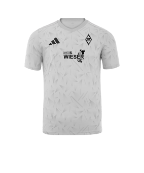 adidas Team Icon 25 Trikot Weiß