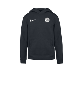 Nike Park 26 Sweatshirt à capuche Enfants Gris C071