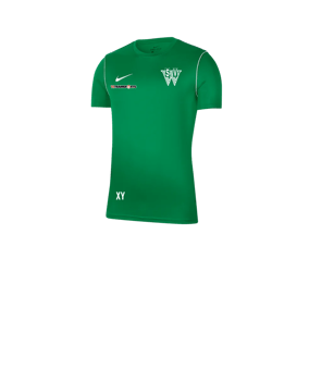 Nike Park 20 T-Shirt Kids Grün F302
