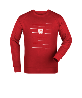 Merch Roller Sweatshirt Red | #lines