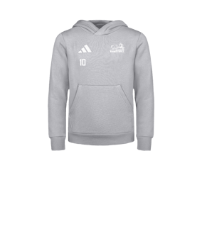 adidas Entrada 26 Hoody Kids Grau