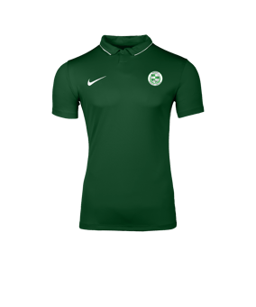 Nike Park 26 Polo Vert C302