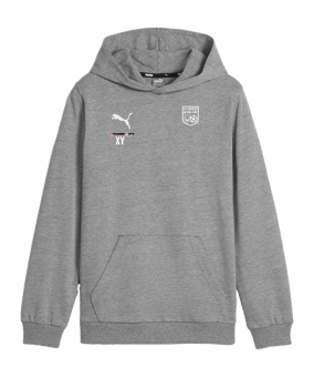 PUMA teamGOAL Casuals Hoody Kids Grau F33