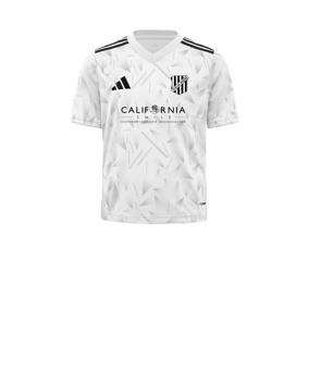 adidas Team Icon 25 Trikot Kids Weiß