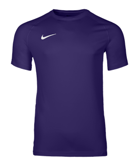 Nike Park VIII Trikot Lila F547 - lila