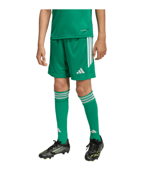 adidas Tiro 26 League Korte broek Kinderen Groen - groen