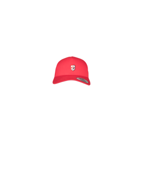 Merch 5 Panel Retro Trucker Cap Red | logo4c
