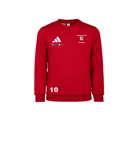 adidas Entrada 26 Sweatshirt Kids Rot