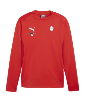 PUMA teamGOAL Training Sweatshirt Rot F01