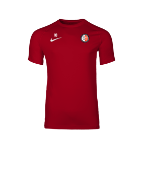 Nike Park VIII Trikot Rot F657