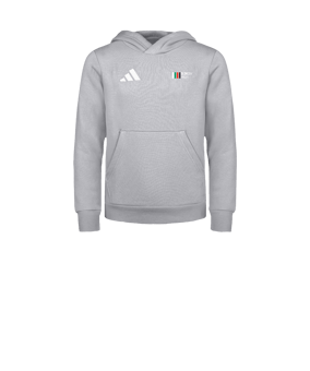 adidas Entrada 26 Hoody Kids Grau