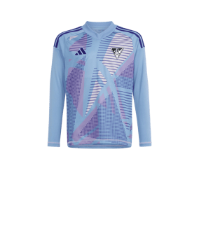 adidas Tiro 24 Competition Torwarttrikot langarm Kids Blau