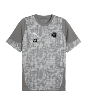 PUMA Trikot Grau F13