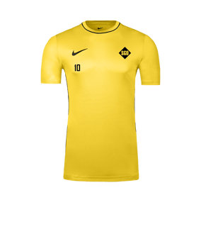 Nike Park 26 Trainingsshirt Gelb F719