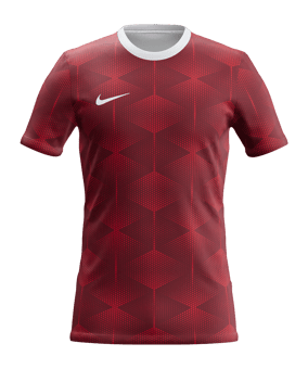 Nike Park Fly Trikot Rot F600