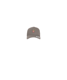 Merch 5 Panel Curved Snapback Cap Grey