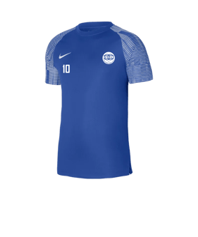 Nike Academy Trikot Blau Weiss F463