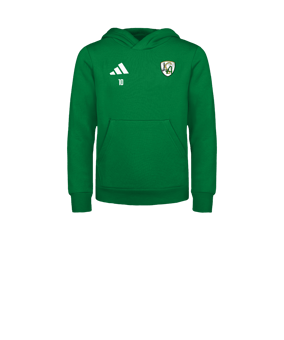 adidas Entrada 26 Sweatshirt à capuche Enfants Vert