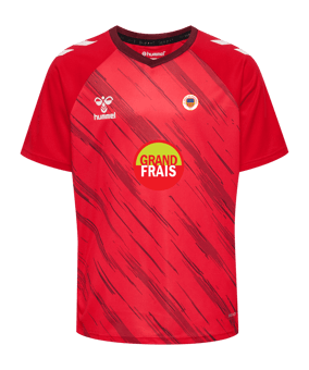 Hummel Match Triumph Maillot Enfants Rouge C3826