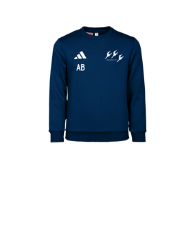 adidas Entrada 26 Sweatshirt Kids Blau