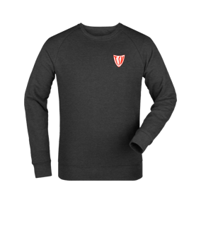 Merch Roller Sweatshirt Dark Heather Grey FC651