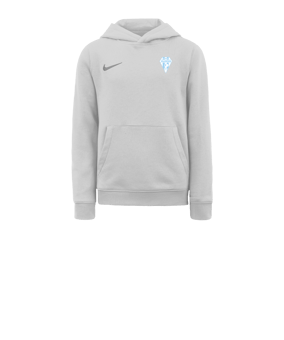 Sweat à capuche en polaire Nike Park 20 enfants Blanc gris F101