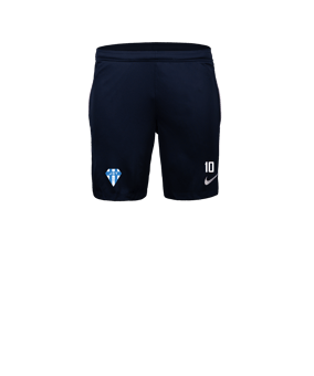 Nike Park 26 Court Bleu C410