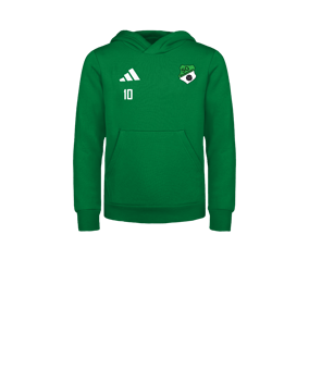 adidas Entrada 26 Hoody Kids Grün